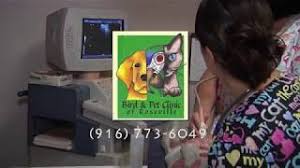 Here are some reviews posted on their website: Welcome To Bird Pet Clinic Of Roseville Youtube