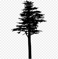 free png pine tree silhouette png images transparent pine png image with transparent background toppng toppng