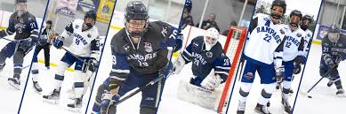 Is It Possible To Go From House League Hockey To Aaa In One Year? - Quora