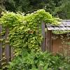 Gardeners.com has been visited by 10k+ users in the past month 1