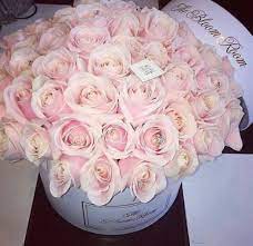 Pin On Pink Passions