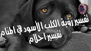 إنّ الفرار منِ العدو أمن وبلوغ مراد ومن دعا رجلاً وهو يفر منه فإنه لا يقبل قوله ولا يطيعه وقيل الفرار أمان ومن اختفى من عدوه فإنّه يظفر به فإن اطلع عليه العدو أصابته نائبة من عدوه فإن ارتعد وارتعش أو ارتخت مفاصله أصابه هم ولا يقوى به ومن من هرب من أسد ولم. ØªÙØ³ÙŠØ± Ø­Ù„Ù… ÙƒÙ„Ø¨ ÙŠÙ„Ø§Ø­Ù‚Ù†ÙŠ