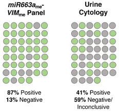 Bladder cancer begins in the inside layer of the bladder and grows into the muscle walls. Jcm Free Full Text A Multiplex Test Assessing Mir663ame And Vimme In Urine Accurately Discriminates Bladder Cancer From Inflammatory Conditions Html