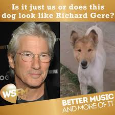 We've found Richard Gere's doppelgänger!