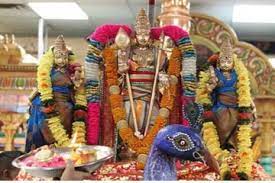 மிளகு நீர் போதும் அதிசயம் நடக்கும்! தமிழ்க் கடவுளுக்கு எடுக்கும் சஷ்டி விரத  நாட்களில் மறந்தும் தவறு செய்யாதீர்கள் - மனிதன்