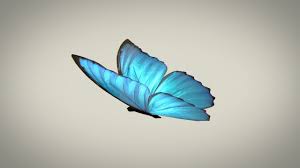 Download 51,832 butterfly cartoon stock illustrations, vectors & clipart for free or amazingly low rates! After Effects Tutorial Animate Butterfly Bird Youtube