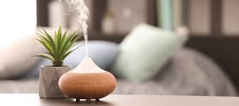 Diffusing essential oils in a nebulizing diffuser is the most common way to receive the benefits of aromatherapy. Are Any Essential Oils Safe For Cats Learn More On Litter Robot Blog