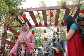 Harga tiket masuk kebun raya baturaden banyumas jawa tengah terbaru. Hot Viral Trendings Biaya Masuk Kebun Raya Batam Taman Warna Warni Di Kebun Raya Batam Beplus Id Luasnya Mencapai 87 Hektar Dan Memiliki 15 000 Jenis Koleksi Pohon Dan Tumbuhan