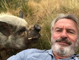 The final conflict, possession, and dead calm. Sam Neill On Twitter More Gratuitous Pig Content On Instagram Samneilltheprop In The Meantime There S This My Daily Conversation