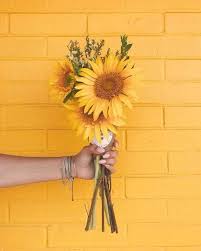 Yellow aesthetic pastel orange aesthetic aesthetic colors pastel yellow flower aesthetic aesthetic pictures watercolor wallpaper iphone pink wallpaper iphone yellow glitter more information. Pin On Girassois