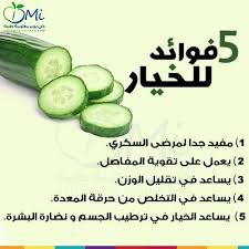 فوائد الخيار Cucumber Vegetables Condiments