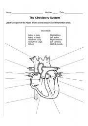 Pin On Medical English Course