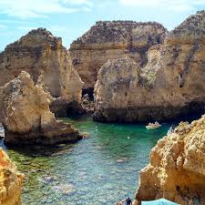 Image result for Faroa affinis