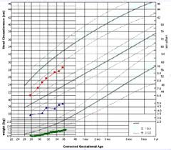 Crib Notes For Neonatology And The Nicu