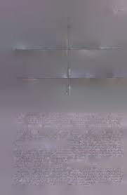 Image result for Panicum arcurameum