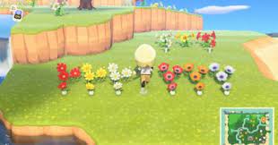 White mums flowers animal crossing. Acnh Mums Breeding Guide How To Get All Color Variations Animal Crossing Gamewith