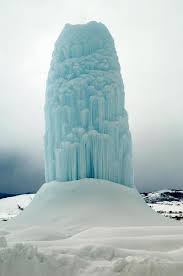 La foto di una mamma che 'guarda' il suo cucciolo appena nato nel momento  in cui prende vita