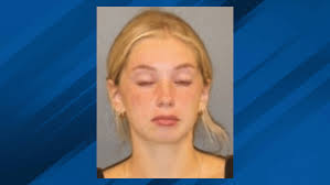 19-year-old charged with felony for possessing fake ID after routine  traffic stop