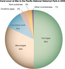 pie chart of coral cover at war in the pacific national