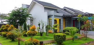 Anda bisa menanam pohon dan tanaman sesuai yang anda inginkan. Taman Rumah Minimalis Modern