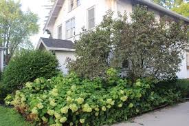 My backyard is almost bowl shaped and holds what water does not run across to the other neighbor. Regrading My Yard To Prevent Water In My Basement Momcrieff
