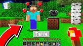 W/ eystreemsubscribe 😋 and turn on notifications 🔔! How To Tame And Ride Bees In Minecraft Pocket Edition Ps4 Xbox Pc Switch Youtube