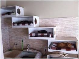 24 Awesome Pets Room Kedi Evi Kedi Agaclari