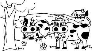 demandez le catalogue 10 doigts coloriage animaux de coquille