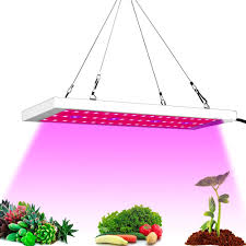 Check spelling or type a new query. Favrison 300w Led Plant Light Grow Lamp Full Spectrum Led Grow Lights For Indoor Plants Seeding Breeding Veg Flower 54pcs Leds Buy Online In Saint Vincent And The Grenadines At Saintvincent Desertcart Com Productid