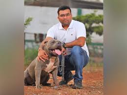 Get reviews, hours, directions, coupons and more for posh pets at 438 robert dr, corpus christi, tx 78412. Posh Pets Launches Two New Stores In Mumbai At Versova And Pali Hill