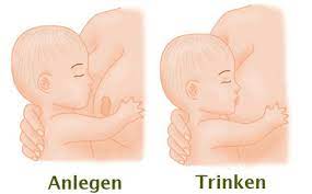 Richtig Stillen Alles Zum Anlegen Und Abnehmen Von Der Brust Netmoms De