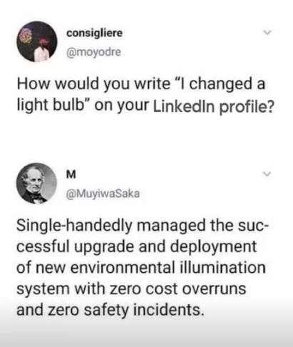 How would you write l changed a light bulb on your LinkedIn profile? - Meme by BabixzBaby :) Memedroid