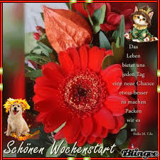 Share the best gifs now >>> Guten Morgen Bilder Gif Animiert Kostenlos Gb Bilder Gb Pics Gastebuchbilder