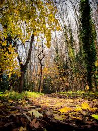 Taken at Loch Leven, Scotland