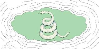 Et lorsqu'on découvre d'étonnantes vidéos mettant en scène ces reptiles, on peut comprendre sur la page serpent, retrouvez des vidéos étonnantes de cet animal, des histoires de complicité entre des hommes et les serpents ainsi que des images des. Rever De Serpent Quelle Signification Marie Claire