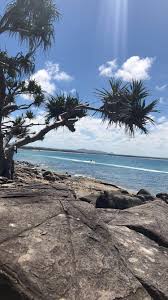 N O O S A Rosie Noosa Sunshine Coast Beach