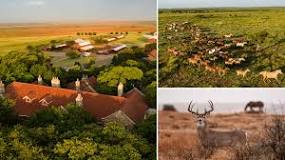 Image result