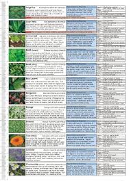 Herb And Medicinal Plants Growing Guide Chart