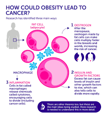 Chemotherapy fights cancer by attacking any rapidly growing cells. How Exactly Does Obesity Cause Cancer Three Leading Theories Cancer Research Uk Cancer News