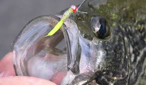 There are also new catfish regulations for the ohio river. Alabama Crappie Fishing Guide