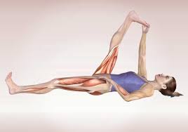 Pin On Yoga Poses Anatomy
