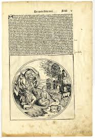 Image result for Epistemma neuerburgii