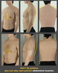 The abdomen (colloquially called the belly, tummy, midriff or stomach) is the part of the body between the thorax (chest) and pelvis, in humans and in other vertebrates. Realistic Fake Muscle Abdomen Strong Man Chest Hair Silicone Simulation Ebay