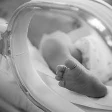 Rattlesnake eggs will stay inside their mother until they hatch. Mzansi Is Ready To Throw National Baby Shower For Woman Who Gave Birth To 10 Babies As Confusion Reigns