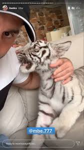 Memphis depay appears to have gotten himself a pet lion to go with the one he has tattooed on his back. How Instagram Celebrities Promote Dubai S Underground Animal Trade Bellingcat