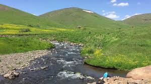 We did not find results for: Erzurum Hinis Youtube