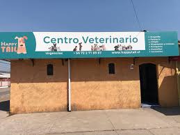 Happytail Centro Veterinario