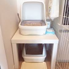 リビング 猫トイレ ikea 猫との生活 ねこと暮らすのインテリア実例 2016 02 21 16 01 06 roomclip ルームクリップ ikea 猫 リビング 猫 猫 トイレ