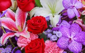 Stalkers will repeatedly call you at home, at work and on your cell phone send unwanted flowers, gifts, cards, letters rarely, a stalker may develop an obsession with someone they don't know personally. Hobby Hill Florist Your Flower Shop Online In Sebring Florida Sebring Florist