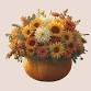Pumpkins & Petals event in Everett, WA
